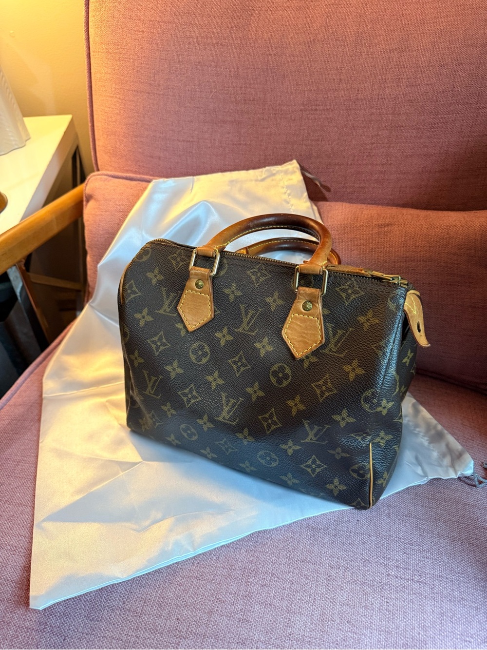 Speedy 25 Louis Vuitton Monogram Bag 🚨